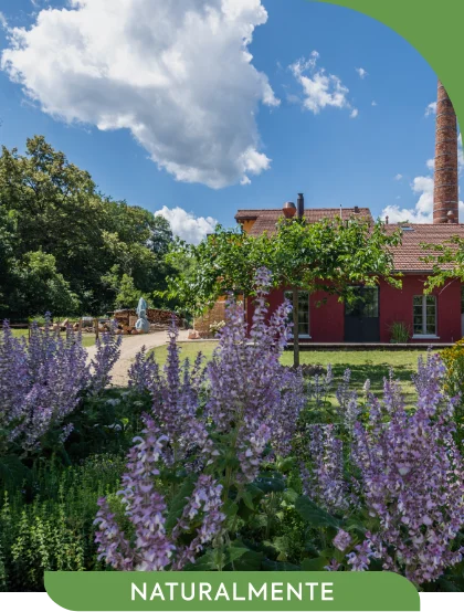 -Ca.Stella Farm-Camino Spinirolo